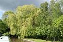 No 457 -  Lovely trees at Grindley Brook